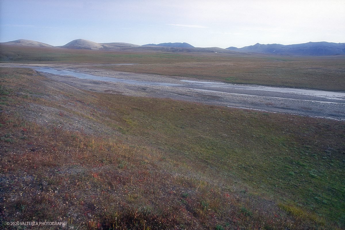 126 SIBERIA.jpg - Luglio/Agosto 1992. Siberia, terra dei Chukchi. Nell'oceano artico  125 Km a nord-est della penisola dei Chukchi (Siberia) c'Ã¨ l'isola di Wrangel, essa ospita piÃ¹ del doppio di specie vegetali (417) di qualsiasi territorio artico a paritÃ  di superficie nonchÃ¨ 30 specie diverse di uccelli oltre ad orsi polari, foche e trichechi ; per questo motivo   Ã¨ stata proclamata patrimonio dell'umanitÃ  dall'UNESCO. Nella foto isola di Wrangel, la tundra artica.